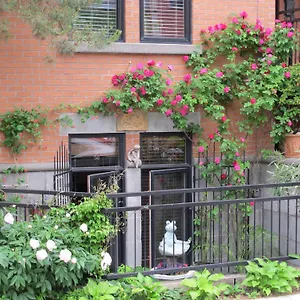 A Gem Downtown Montreal